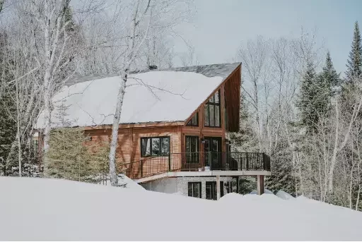 Modern Log Home